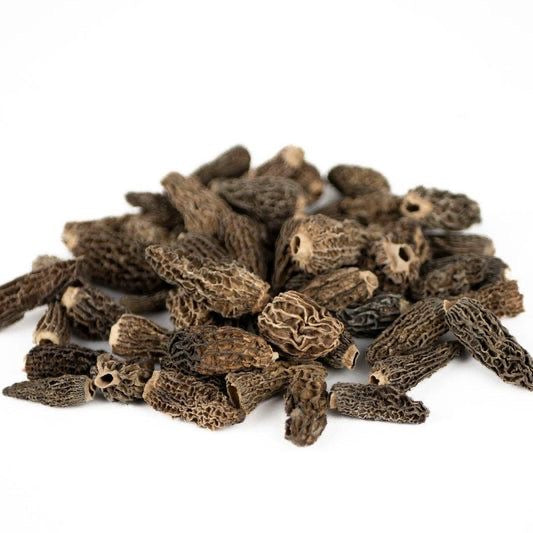 Wild Forest Morel Mushrooms (guchi)